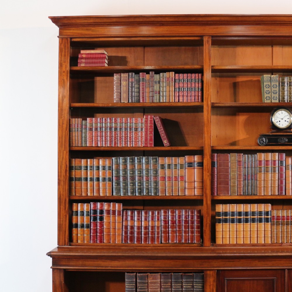 William IV Mahogany Open Library Bookcase View IV