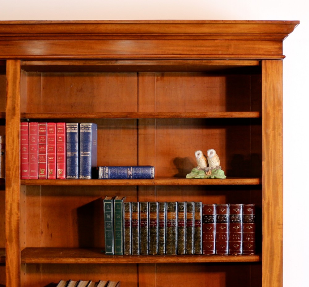 William IV Mahogany Open Library Bookcase View VII