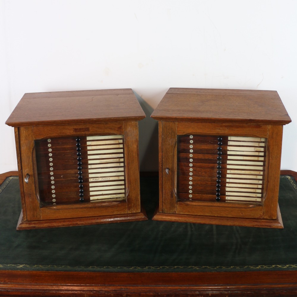 A pair of late nineteenth-century walnut microscope slide cabinets featuring glazed doors revealing shallow numbered drawers.