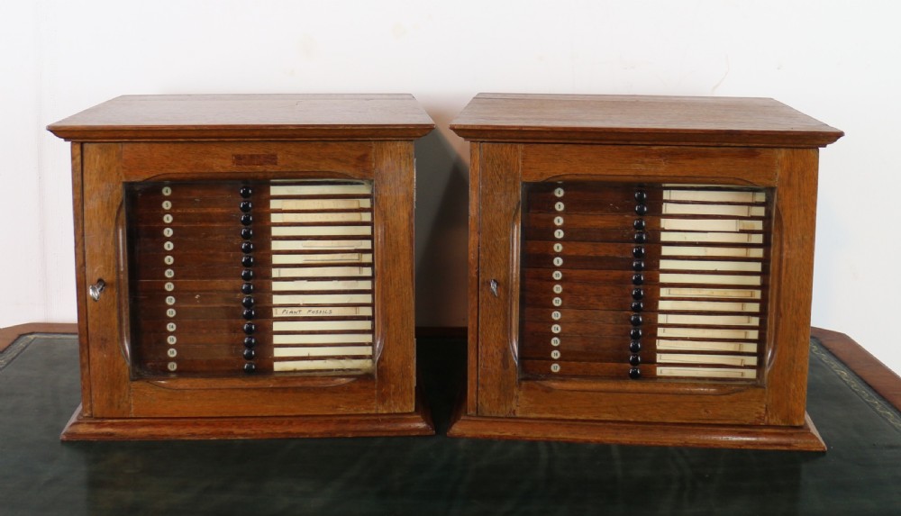 A pair of late nineteenth-century walnut microscope slide cabinets featuring glazed doors revealing shallow numbered drawers. View II