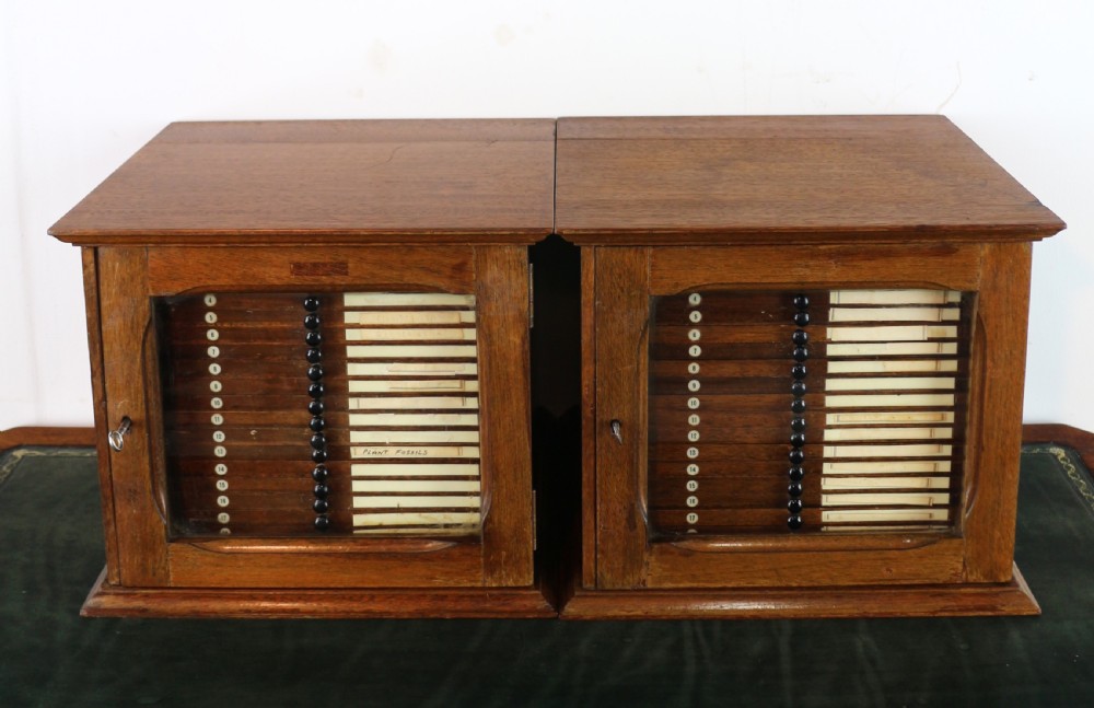 A pair of late nineteenth-century walnut microscope slide cabinets featuring glazed doors revealing shallow numbered drawers. View III