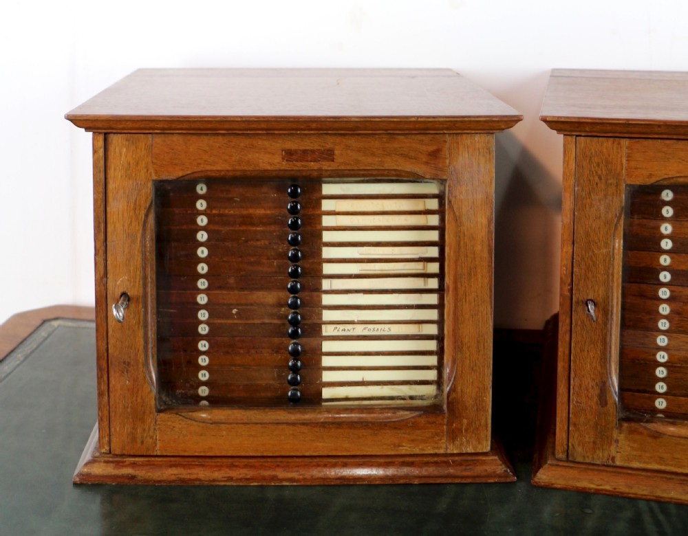 A pair of late nineteenth-century walnut microscope slide cabinets featuring glazed doors revealing shallow numbered drawers. View V