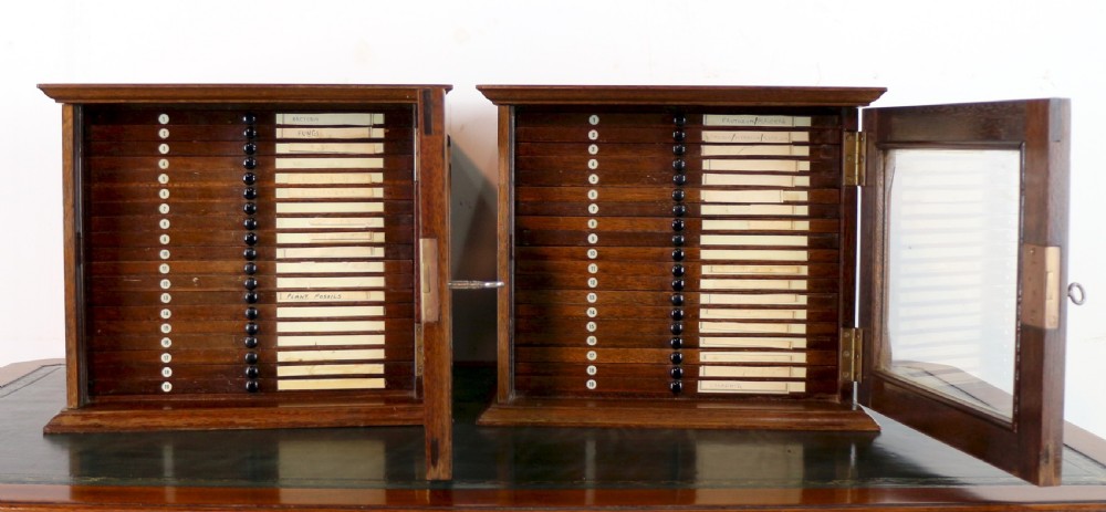 A pair of late nineteenth-century walnut microscope slide cabinets featuring glazed doors revealing shallow numbered drawers. View X