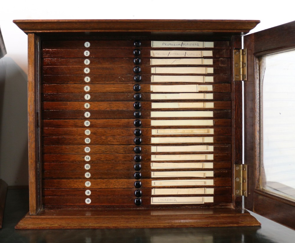 A pair of late nineteenth-century walnut microscope slide cabinets featuring glazed doors revealing shallow numbered drawers. View XII