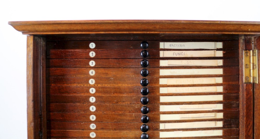 A pair of late nineteenth-century walnut microscope slide cabinets featuring glazed doors revealing shallow numbered drawers. View XIII