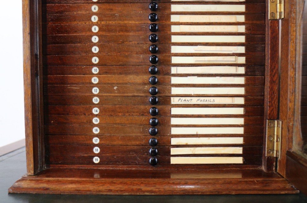 A pair of late nineteenth-century walnut microscope slide cabinets featuring glazed doors revealing shallow numbered drawers. View XIV