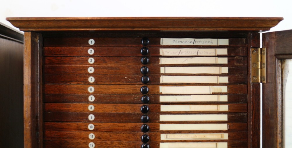 A pair of late nineteenth-century walnut microscope slide cabinets featuring glazed doors revealing shallow numbered drawers. View XV