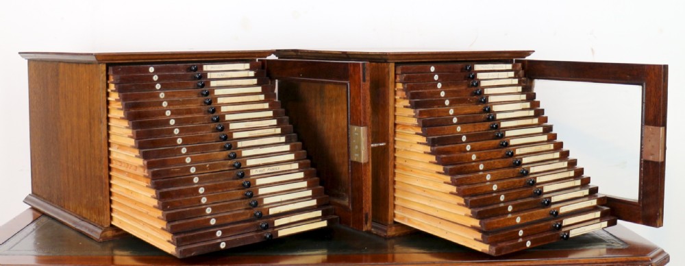 A pair of late nineteenth-century walnut microscope slide cabinets featuring glazed doors revealing shallow numbered drawers. View XXII