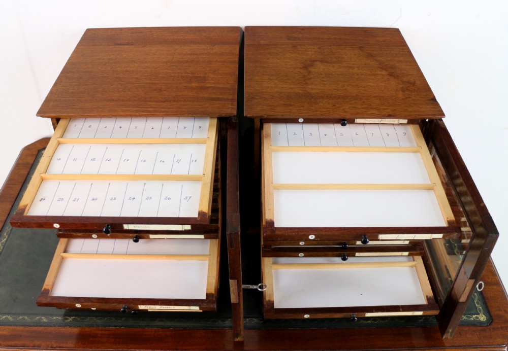 A pair of late nineteenth-century walnut microscope slide cabinets featuring glazed doors revealing shallow numbered drawers. View XXV