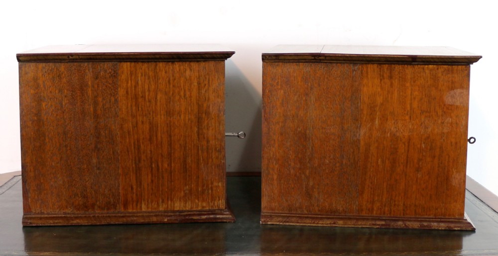 A pair of late nineteenth-century walnut microscope slide cabinets featuring glazed doors revealing shallow numbered drawers. View XXIX