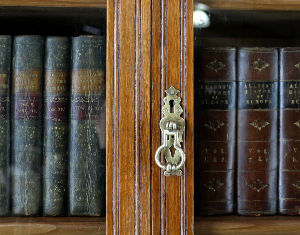 A pair of tall, narrow late Victorian oak glazed bookcases with spindle gallery tops and lower panelled cupboard bases. View XVI