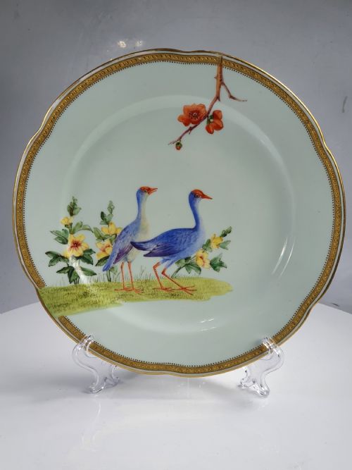 Interesting 19thc Hand Painted Worcester Bird Plate