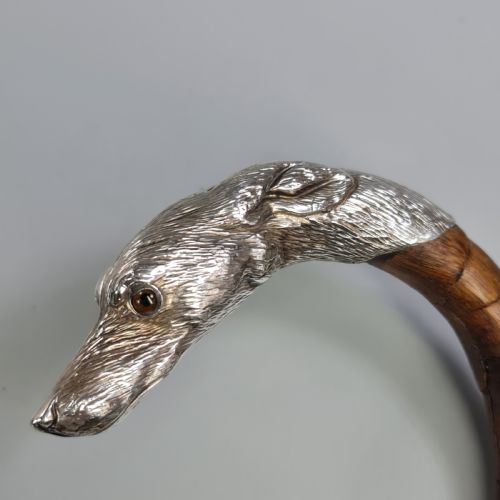 Superb Quality Antique Silver Dog Head Handled Cane C1890