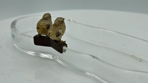UNUSUAL AND EXQUISITE COLD PAINTED BRONZE CHICKS ON CRYSTAL GLASS PEN TRAY C1900 - ADDITIONAL PHOTO 3