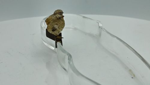 UNUSUAL AND EXQUISITE COLD PAINTED BRONZE CHICKS ON CRYSTAL GLASS PEN TRAY C1900 - ADDITIONAL PHOTO 4