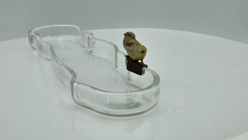 UNUSUAL AND EXQUISITE COLD PAINTED BRONZE CHICKS ON CRYSTAL GLASS PEN TRAY C1900 - ADDITIONAL PHOTO 5