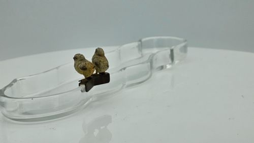 UNUSUAL AND EXQUISITE COLD PAINTED BRONZE CHICKS ON CRYSTAL GLASS PEN TRAY C1900 - ADDITIONAL PHOTO 8