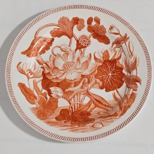 rare wedgwood 'water lily darwin pattern pearlware plate with red onglaze print c 1820 - CATEGORY: ANTIQUE PLATES - DATED 1800