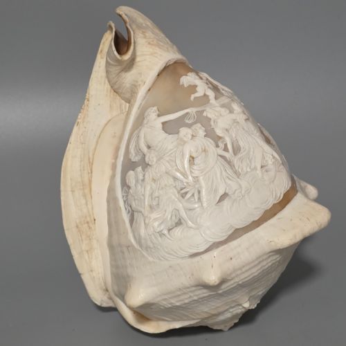 FINE LARGE 18CM ANTIQUE CONCH SHELL CAMEO AURORA CHARIOT MYTHICAL SCENE - ADDITIONAL PHOTO 2
