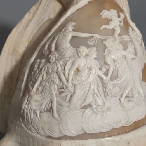 FINE LARGE 18CM ANTIQUE CONCH SHELL CAMEO AURORA CHARIOT MYTHICAL SCENE - ADDITIONAL PHOTO 12