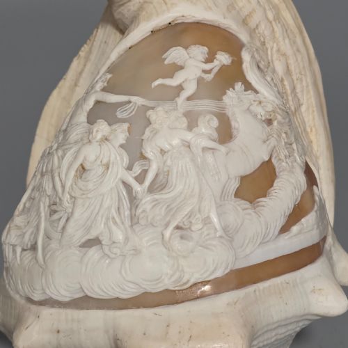 FINE LARGE 18CM ANTIQUE CONCH SHELL CAMEO AURORA CHARIOT MYTHICAL SCENE - ADDITIONAL PHOTO 13