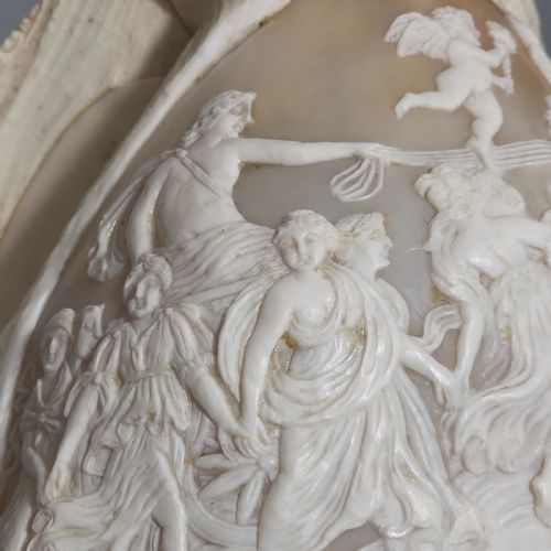 FINE LARGE 18CM ANTIQUE CONCH SHELL CAMEO AURORA CHARIOT MYTHICAL SCENE - ADDITIONAL PHOTO 14