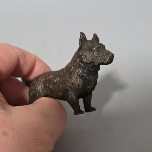 EARLY 20THC AUSTRIAN BRONZE DOG - ADDITIONAL PHOTO 7
