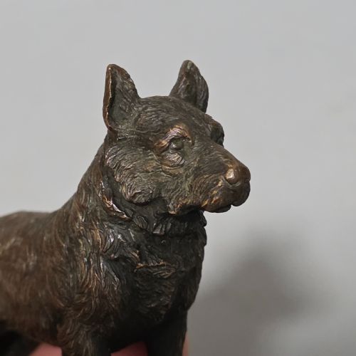 EARLY 20THC AUSTRIAN BRONZE DOG - ADDITIONAL PHOTO 13