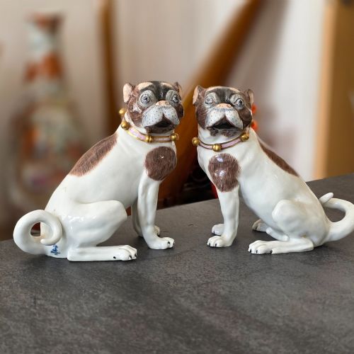 charming rare pair of dresden saxon porcelain pug dog figurines male female early 20th century - CATEGORY: ANTIQUE CERAMICS - DATED 1920