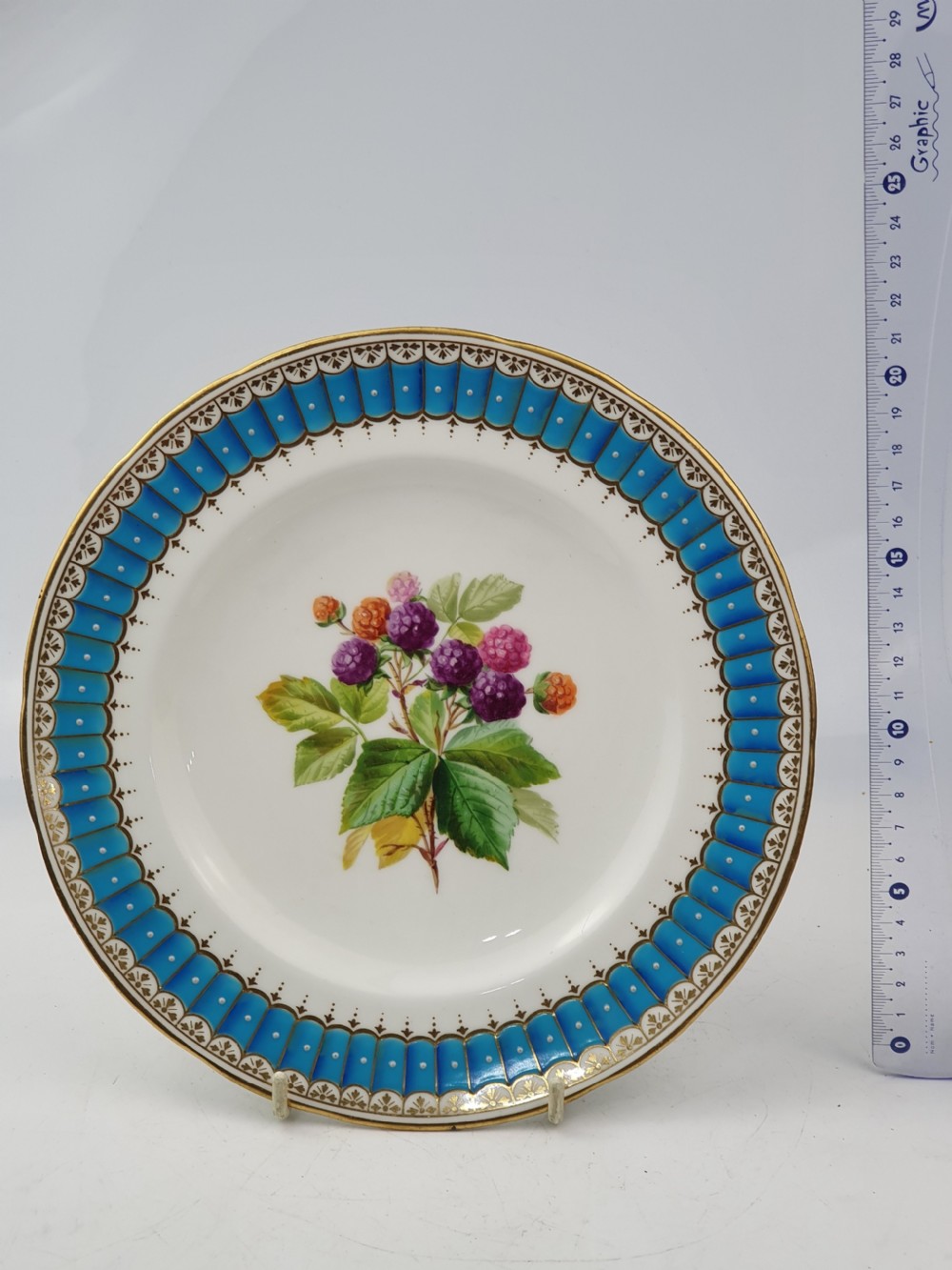 Stunning 19th Century Minton Hand Painted Plate (1 of 4) View IV