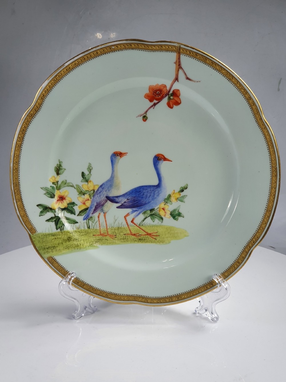 Interesting 19thc Hand Painted Worcester Bird Plate