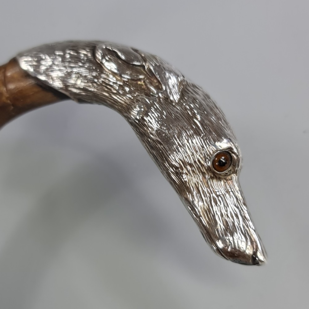 Superb Quality Antique Silver Dog Head Handled Cane c1890 View II