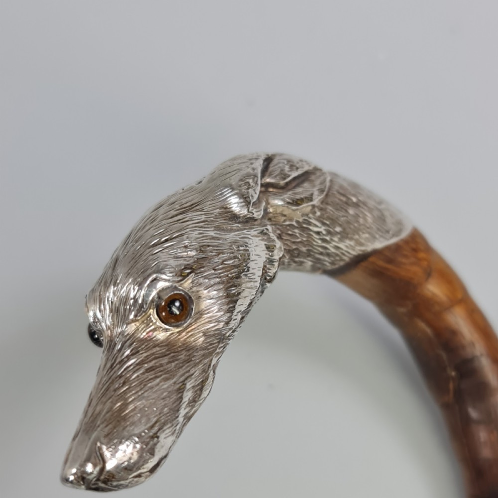 Superb Quality Antique Silver Dog Head Handled Cane c1890 View III