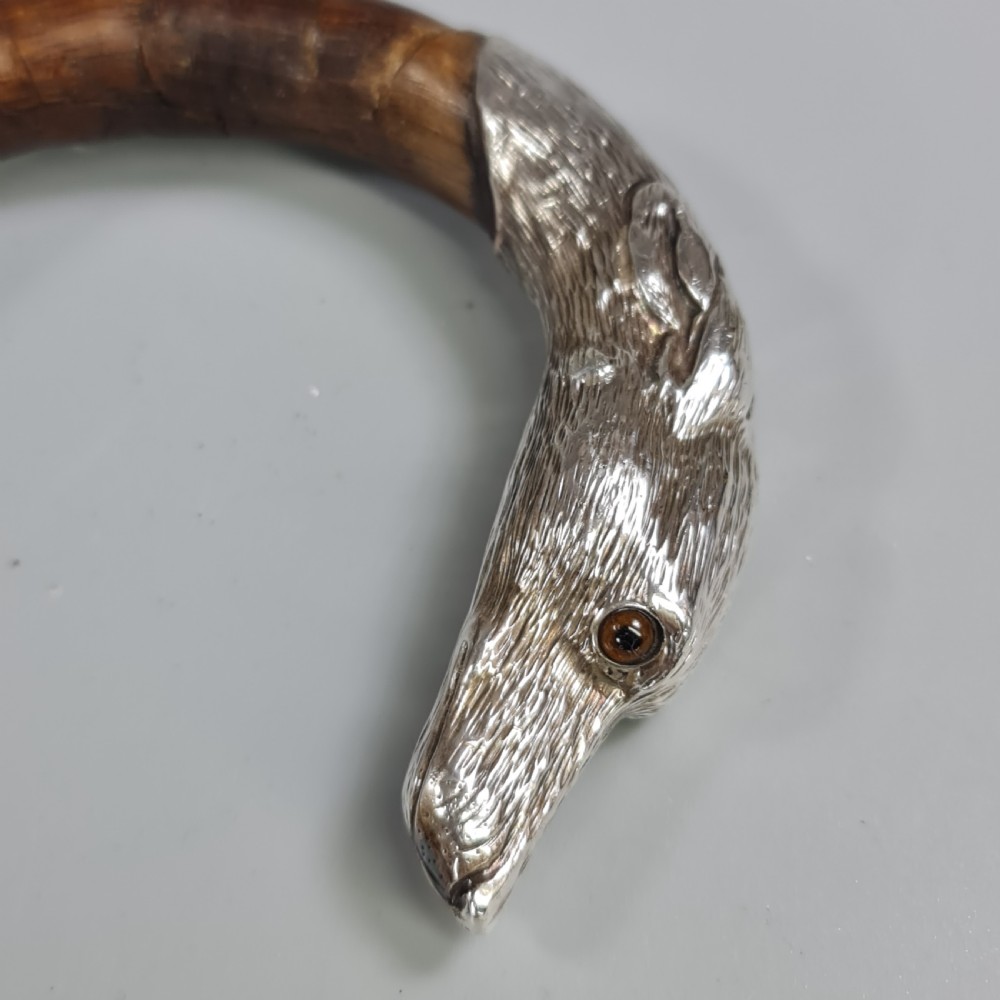 Superb Quality Antique Silver Dog Head Handled Cane c1890 View IV