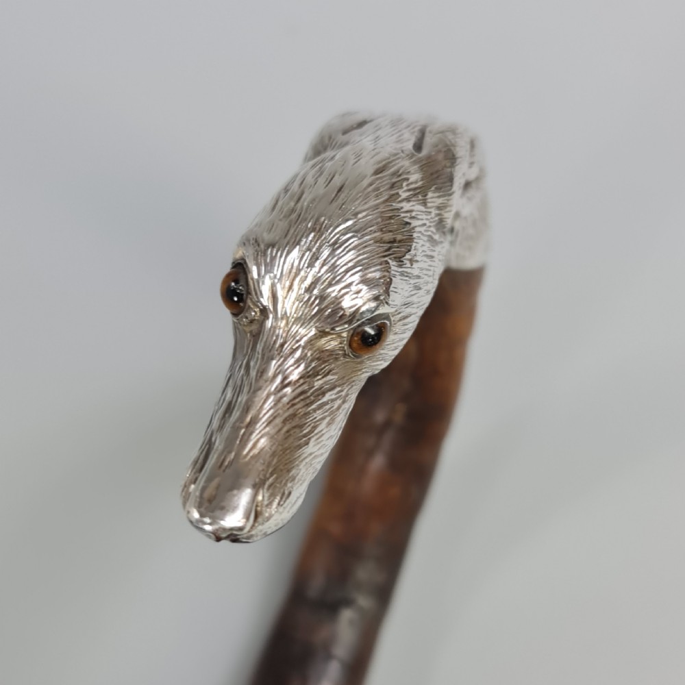 Superb Quality Antique Silver Dog Head Handled Cane c1890 View V
