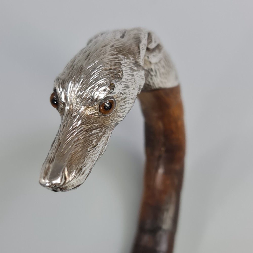 Superb Quality Antique Silver Dog Head Handled Cane c1890 View VI