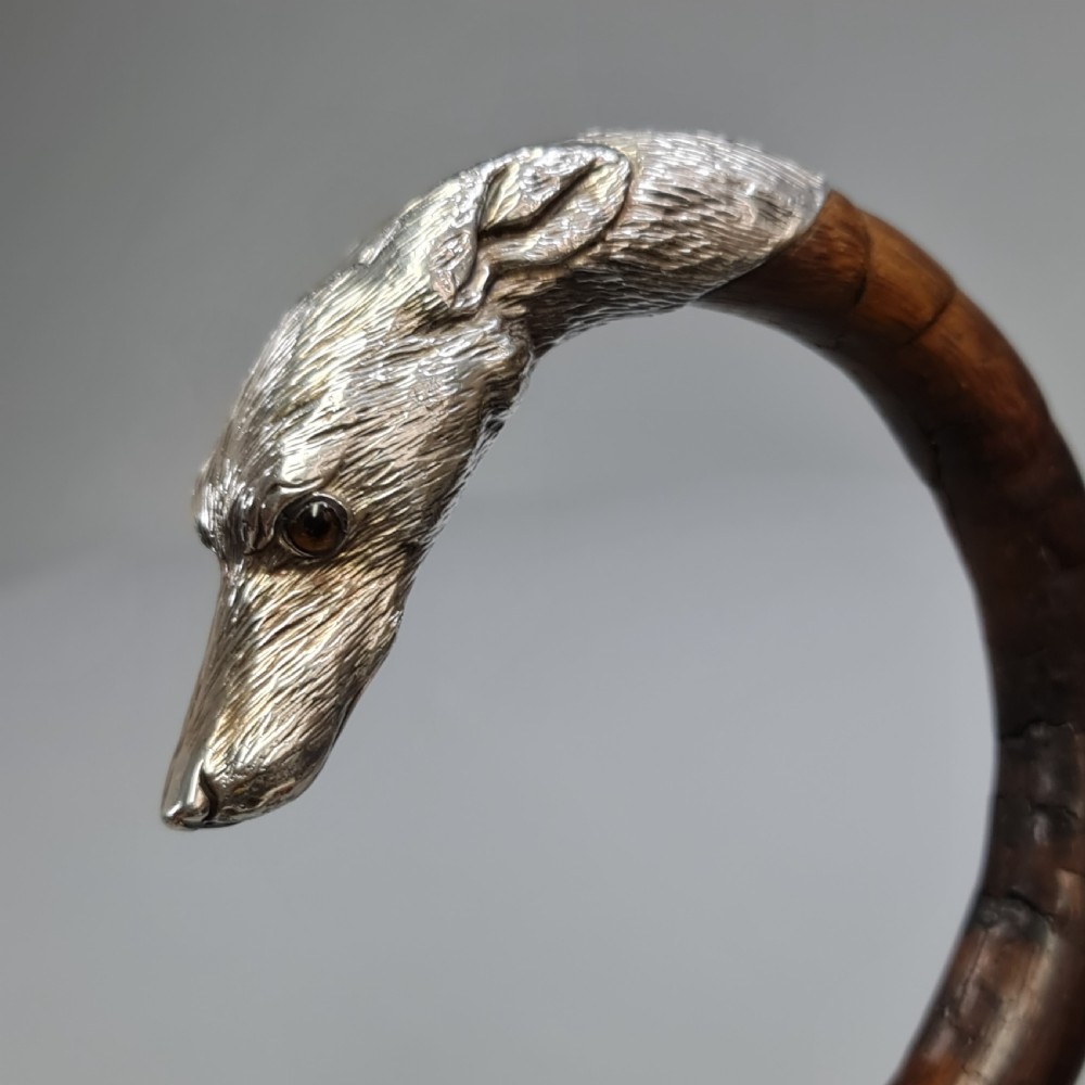 Superb Quality Antique Silver Dog Head Handled Cane c1890 View VII