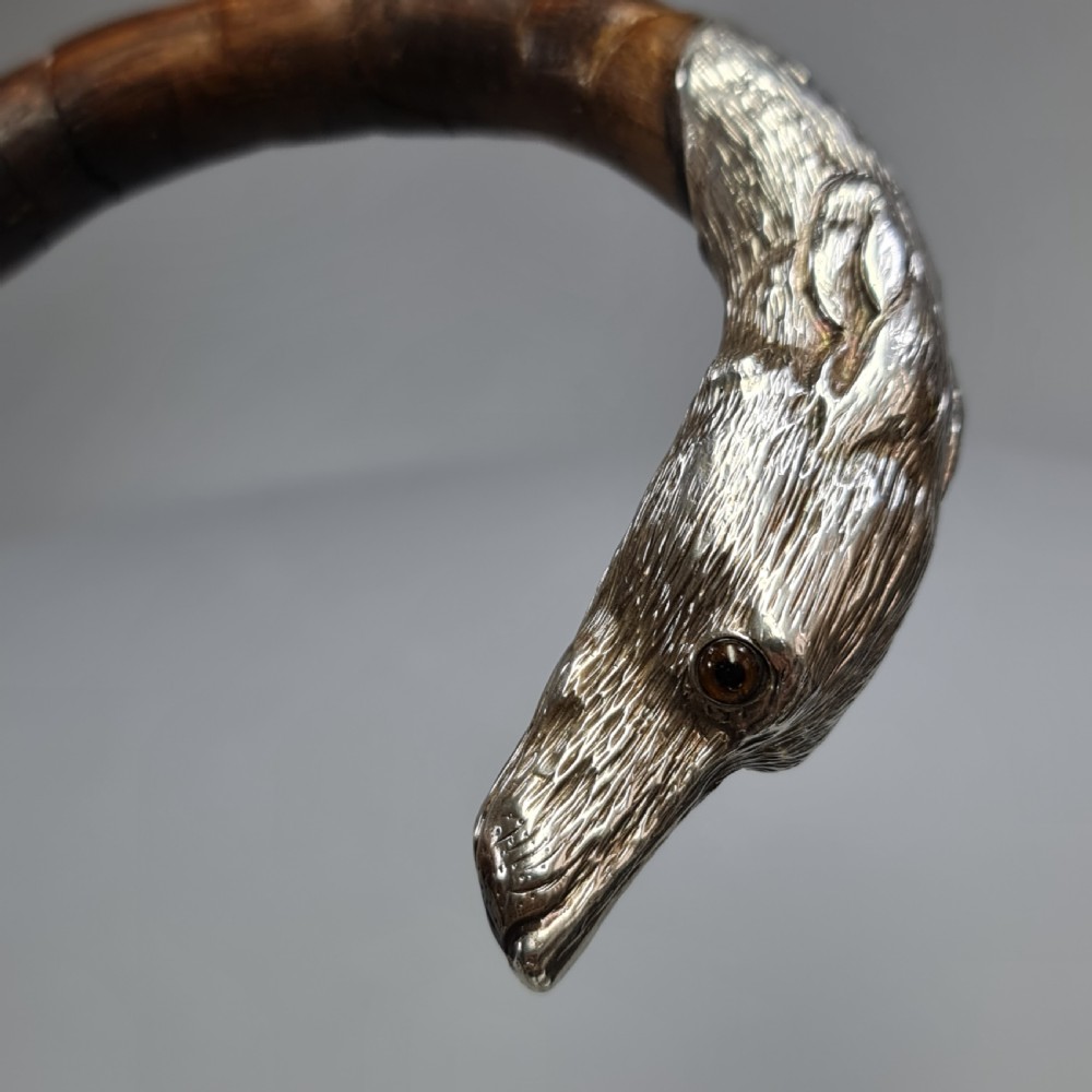 Superb Quality Antique Silver Dog Head Handled Cane c1890 View VIII