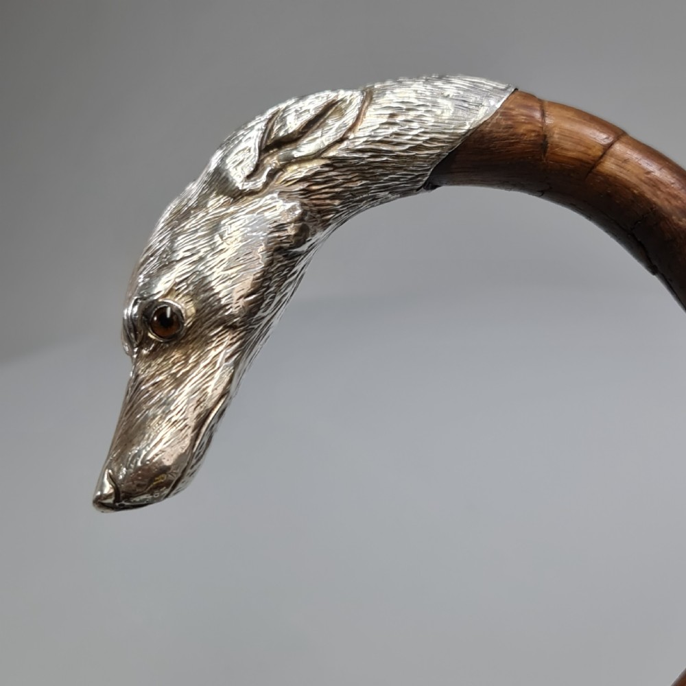 Superb Quality Antique Silver Dog Head Handled Cane c1890 View IX