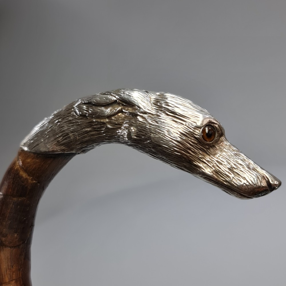 Superb Quality Antique Silver Dog Head Handled Cane c1890 View XI