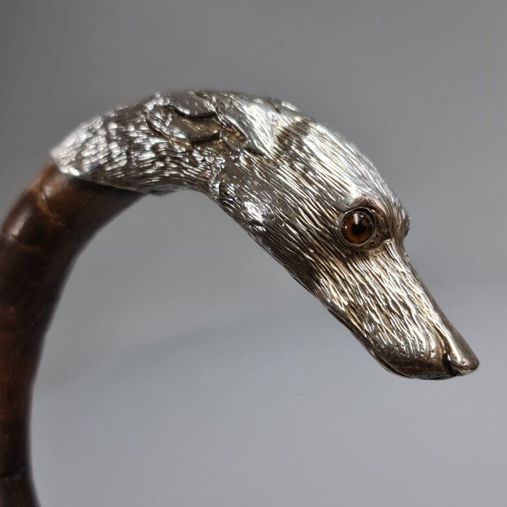 Superb Quality Antique Silver Dog Head Handled Cane c1890 View XIII