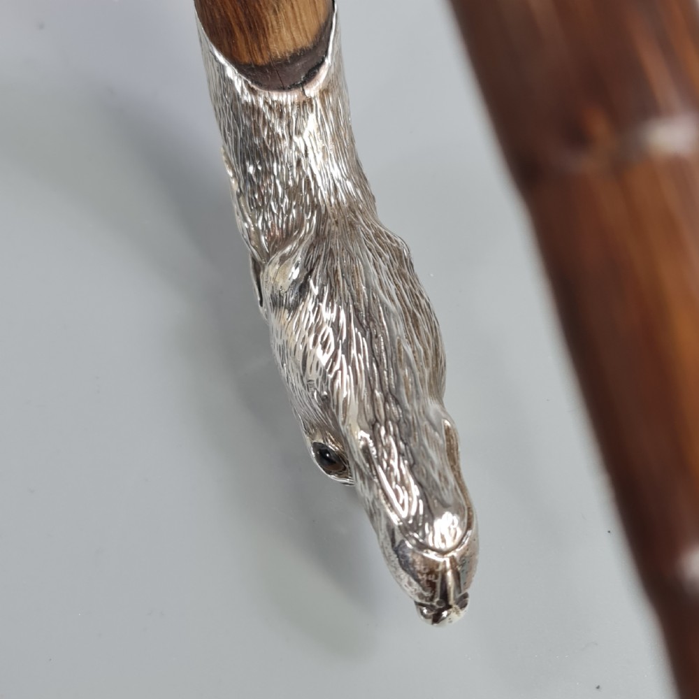 Superb Quality Antique Silver Dog Head Handled Cane c1890 View XV