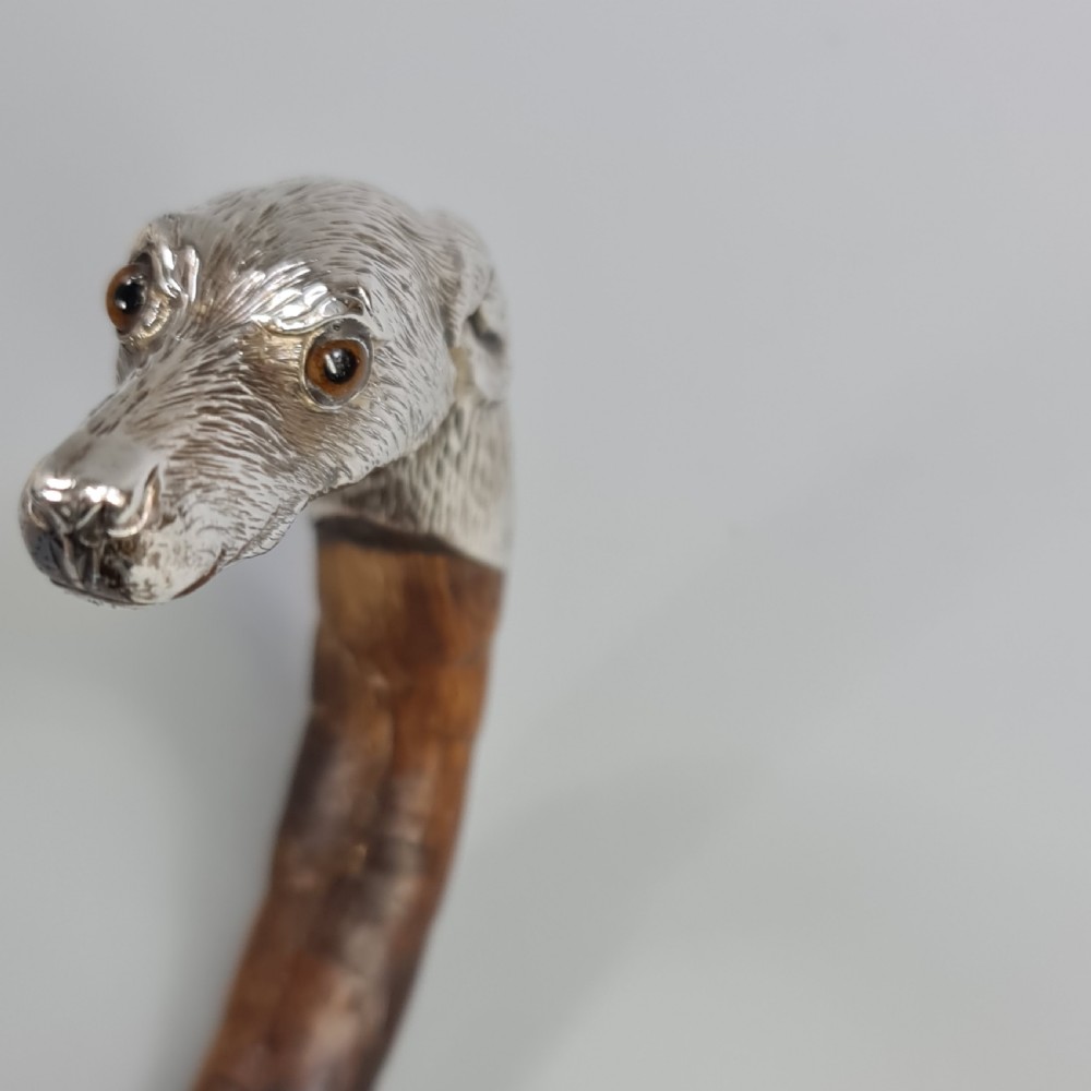 Superb Quality Antique Silver Dog Head Handled Cane c1890 View XVI