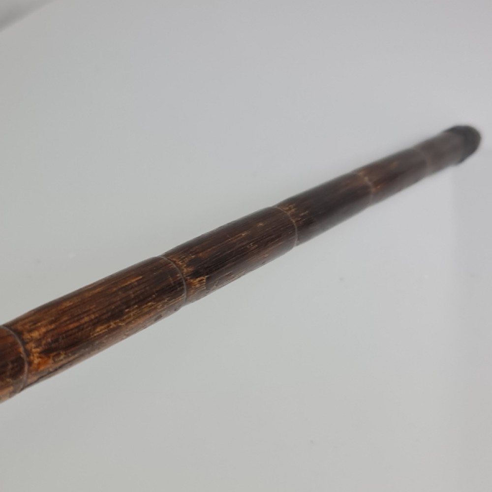 Superb Quality Antique Silver Dog Head Handled Cane c1890 View XVII