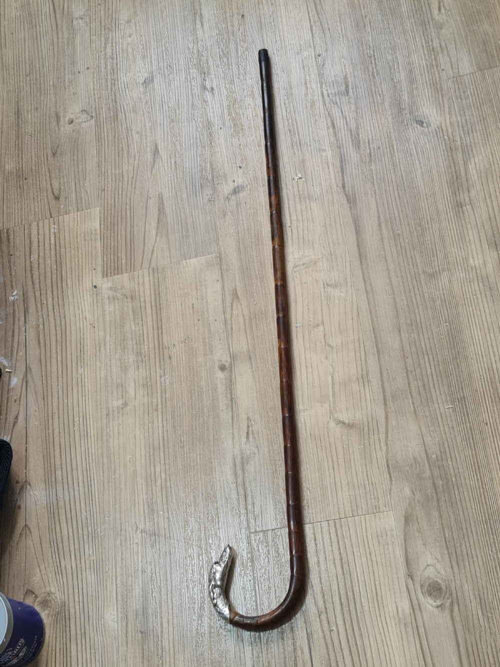 Superb Quality Antique Silver Dog Head Handled Cane c1890 View XX