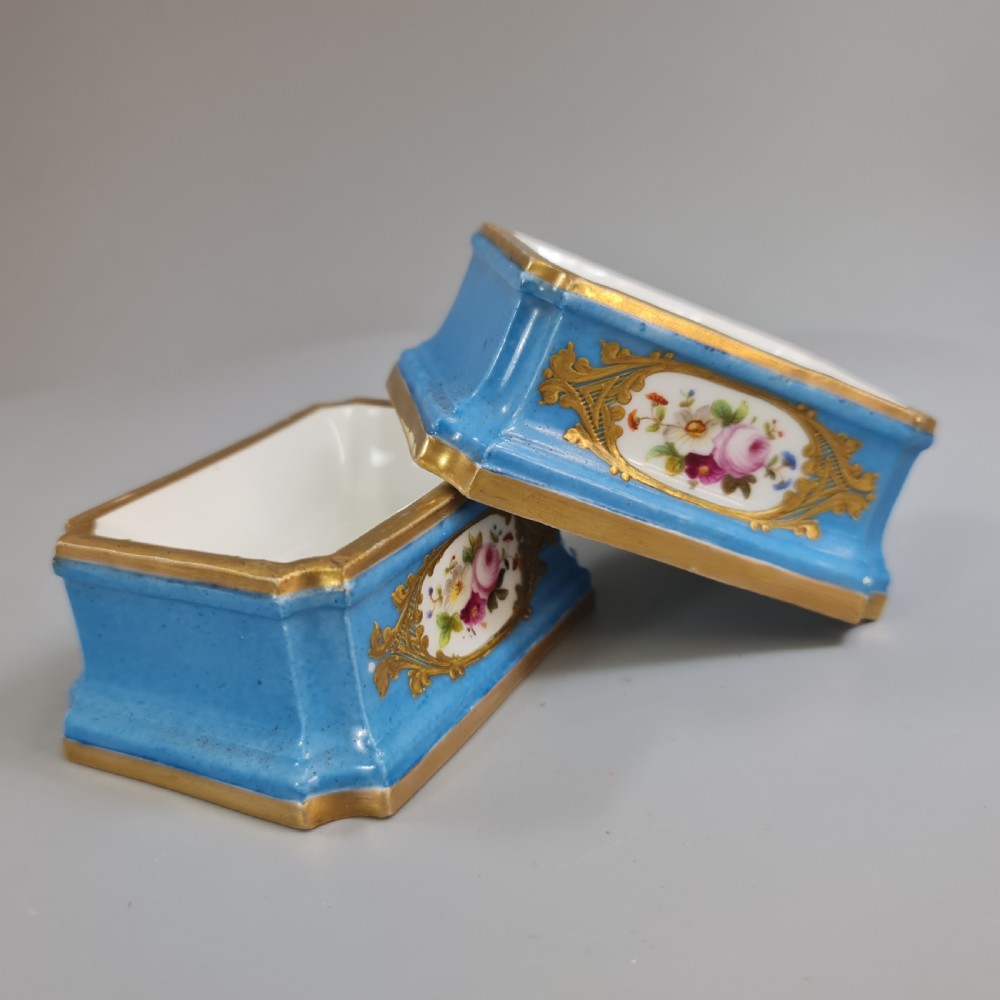 Fabulous French 18thc Pair of Porcelain Salts - Sevres View II