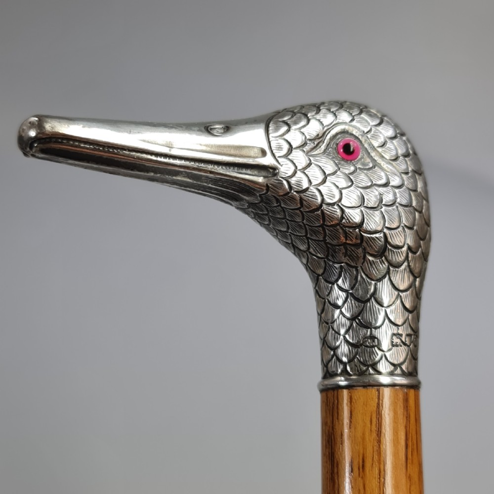 Stunning Victorian HM Silver Duck Head with Glass Eyes Cane  View IV