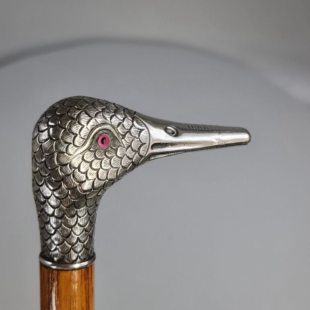 Stunning Victorian HM Silver Duck Head with Glass Eyes Cane  View V