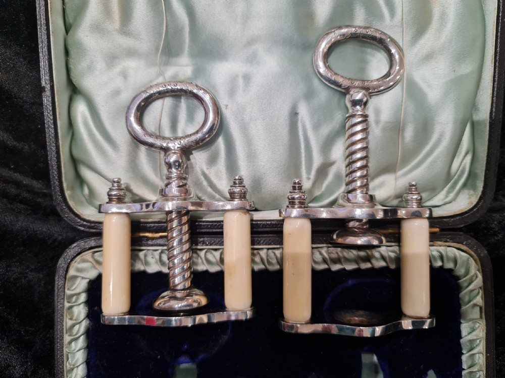 Rare Pair of Cased Victorian SP Nutcrackers View VIII