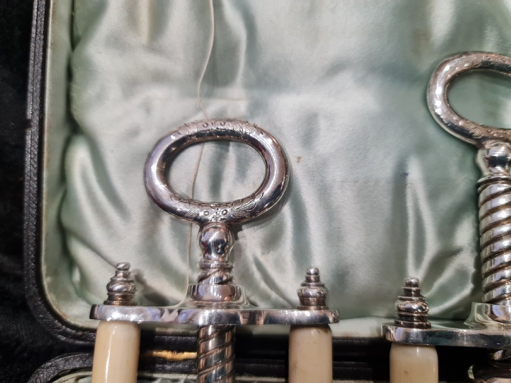 Rare Pair of Cased Victorian SP Nutcrackers View IX